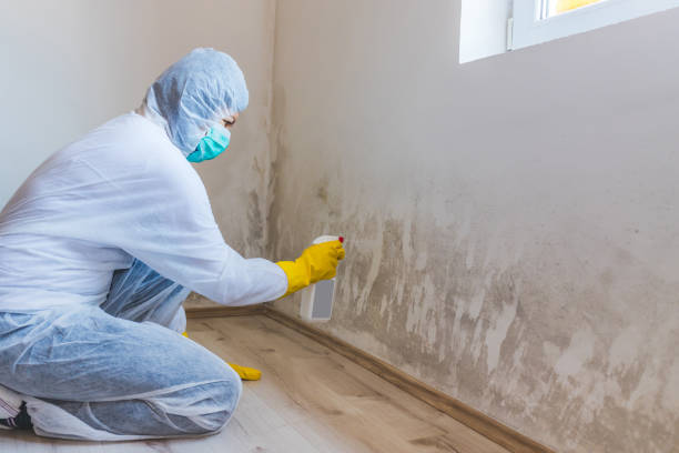 Licensed Crawl Space Mold Removal service in Grand Prairie, TX - WQB Mold Removal