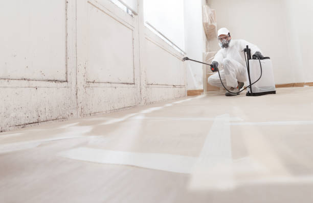 24/7 Emergency Crawl Space Mold Removal experts in Grand Prairie, TX