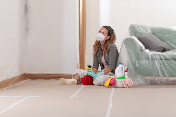 Reliable Crawl Space Mold Removal contractor in Grand Prairie, TX by WQB Mold Removal