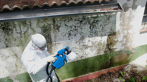 Top rated local Crawl Space Mold Removal specialists in Grand Prairie, TX